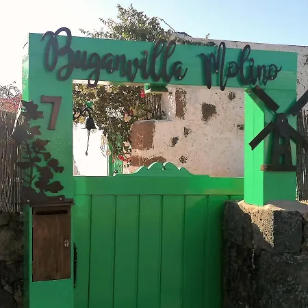 Buganvilla Molino *