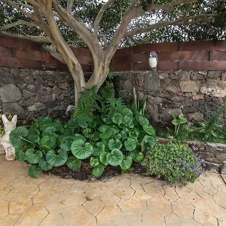 Buganvilla Molino
