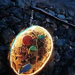 Buganvilla Molino Prázdninový dům Tinajo